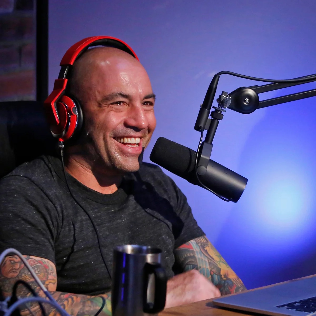 Joe Rogan Experience